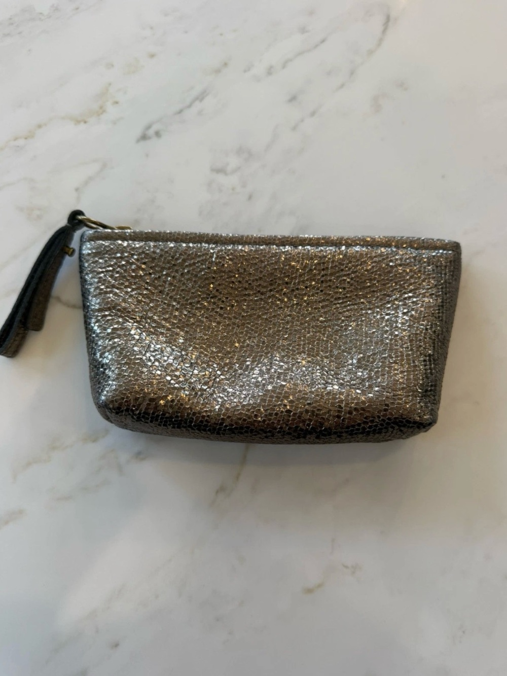 Madewell Metallic Pewter Zip Cosmetic Pouch